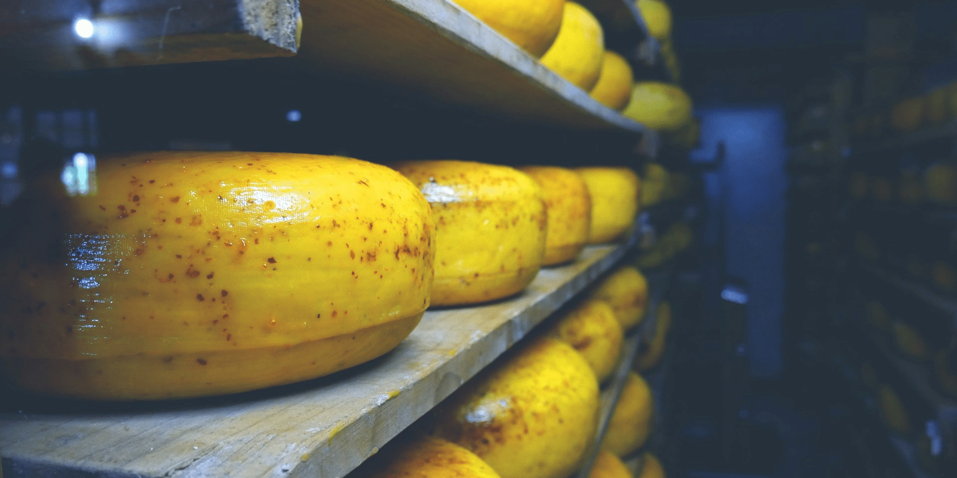 Exploring the Health Benefits of Cheese