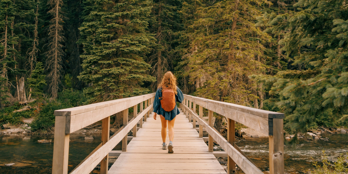 Navigating Nature: Survival Techniques Using Natural Indicators and Makeshift Tools