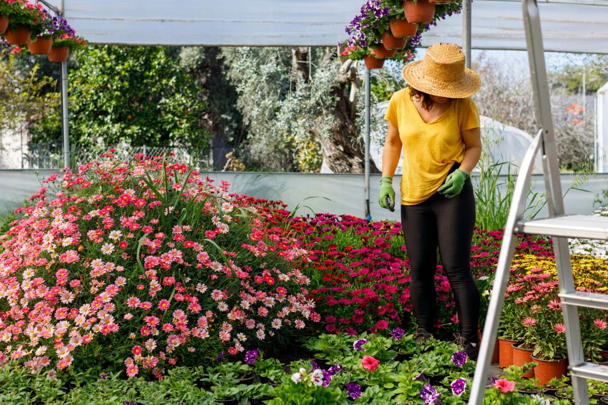 How Gardening Can Improve Your Health and Well-Being