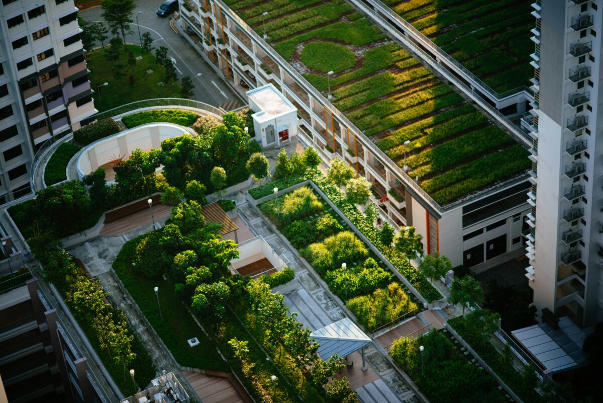 How Green Infrastructure Builds Climate-Resilient Cities