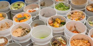 How Food Waste Reduction Drives Sustainability