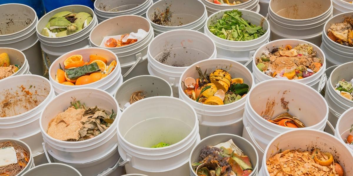 How Food Waste Reduction Drives Sustainability