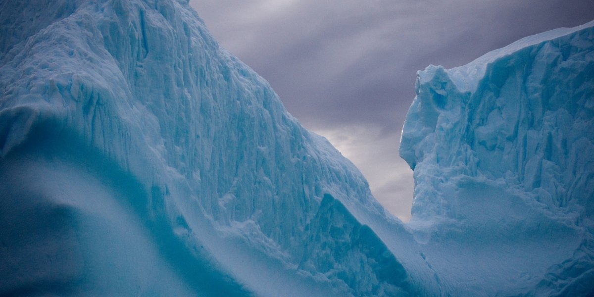 Ice Age Animals: Megafauna That Roamed Earth
