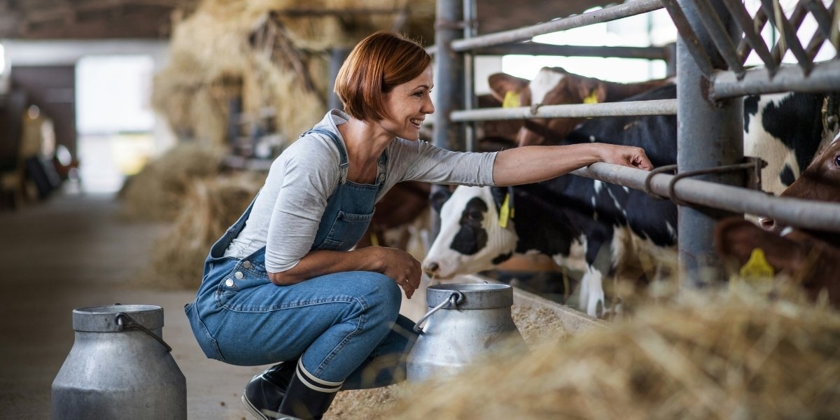 Key Strategies for Implementing Sustainable Livestock Management
