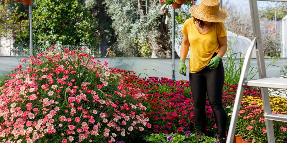 How Gardening Can Improve Your Health and Well-Being