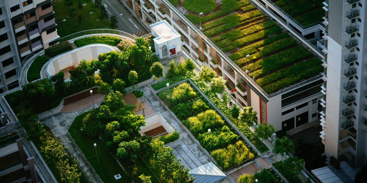 How Green Infrastructure Builds Climate-Resilient Cities